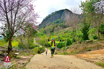 Ảnh sự kiện PRENN TRAIL SUMMIT 2025 - b87554aa4da9eb7d05ded9df4dbada1a.jpg
