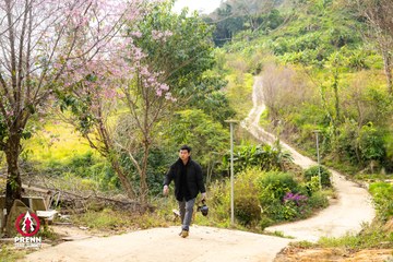 Ảnh sự kiện PRENN TRAIL SUMMIT 2025 - b8be04fff0b5e28aa3b96443cd75769b.jpg