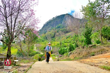 Ảnh sự kiện PRENN TRAIL SUMMIT 2025 - b97cc3d43b4c00109337588012628adf.jpg