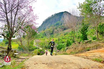 Ảnh sự kiện PRENN TRAIL SUMMIT 2025 - b9952a8b7b27b748fc093f4240bb5be1.jpg