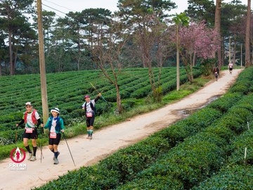 Ảnh sự kiện PRENN TRAIL SUMMIT 2025 - ba736387571cd48f3e28aa3a3aa65787.jpg
