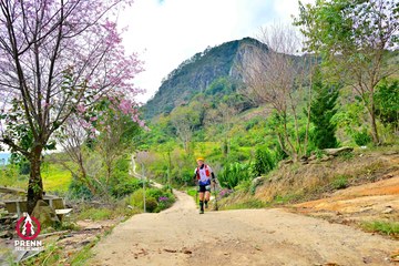Ảnh sự kiện PRENN TRAIL SUMMIT 2025 - bba2822ecd96918b43d04ea4d46995e2.jpg