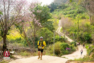 Ảnh sự kiện PRENN TRAIL SUMMIT 2025 - bcdaa1359c5c786a8fa153a529e8ae34.jpg