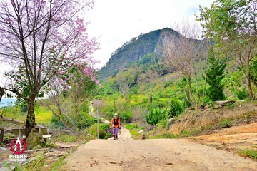 Ảnh sự kiện PRENN TRAIL SUMMIT 2025 - bd23d50fa2e5c53b9370bd72445cfdac.jpg