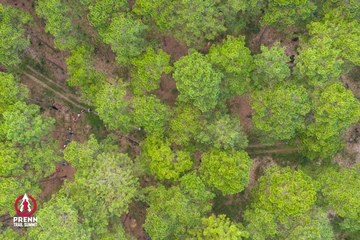 Ảnh sự kiện PRENN TRAIL SUMMIT 2025 - be33ace540ee0d18e810ed472c1f89f0.jpg
