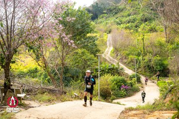 Ảnh sự kiện PRENN TRAIL SUMMIT 2025 - bf6a4fd760b27544e972bf93724fc1b0.jpg