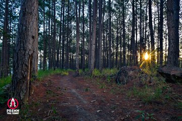 PRENN TRAIL SUMMIT 2025 - Ảnh #4619187