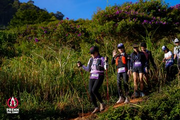 Photo PRENN TRAIL SUMMIT 2025 - c1294d330675ab5ef98f22c0d95be9b3.jpg