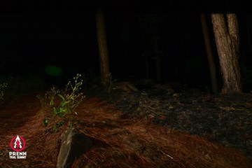 Ảnh sự kiện PRENN TRAIL SUMMIT 2025 - c30633e6df372932be8492f2503a70f4.jpg