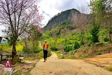 Ảnh sự kiện PRENN TRAIL SUMMIT 2025 - c44b11d758f741877f66141f941d7913.jpg