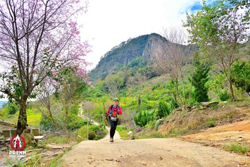Ảnh sự kiện PRENN TRAIL SUMMIT 2025 - c4bc9a7a60881abf712d03d640cd6bff.jpg