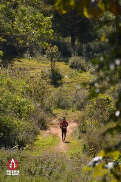 Photo PRENN TRAIL SUMMIT 2025 - c64b08c53f130b558e371d58cfa121bf.jpg