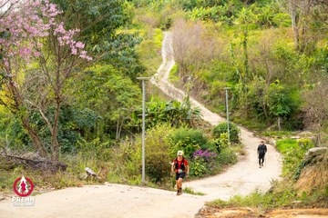 Ảnh sự kiện PRENN TRAIL SUMMIT 2025 - c7befc24a7a4fb0c951c42bc1e8b56cf.jpg