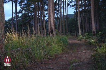Photo PRENN TRAIL SUMMIT 2025 - c950058b2a12dd031425da09a7a3ee82.jpg