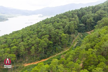 Ảnh sự kiện PRENN TRAIL SUMMIT 2025 - c9967a1c5a2998e69c2b78559863b5a5.jpg