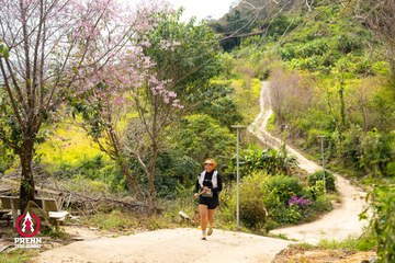 Ảnh sự kiện PRENN TRAIL SUMMIT 2025 - c99bf9c83a4c448e9ce33b5dca2b941e.jpg