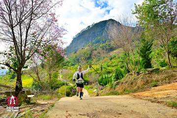 Ảnh sự kiện PRENN TRAIL SUMMIT 2025 - cb65cf69d11afad17a85c2e21c63c192.jpg