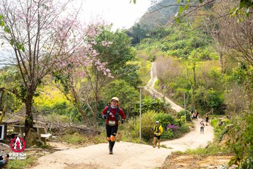 Ảnh sự kiện PRENN TRAIL SUMMIT 2025 - cd5624617b8351b4a928ef67c0c93f95.jpg