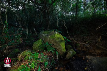 Ảnh sự kiện PRENN TRAIL SUMMIT 2025 - cd86052a28e0a8d8a12294ed26d64efc.jpg