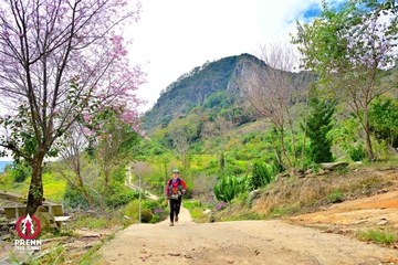 Ảnh sự kiện PRENN TRAIL SUMMIT 2025 - cedb19dbd15d472068ec5534c82a076b.jpg