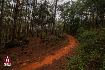 Ảnh sự kiện PRENN TRAIL SUMMIT 2025 - cf89beca2f59162f19fca0ba9c2c453a.jpg