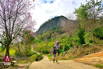 Ảnh sự kiện PRENN TRAIL SUMMIT 2025 - d02997fcffd77edac75d98747eab4df4.jpg