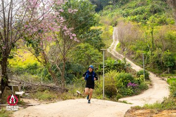 Ảnh sự kiện PRENN TRAIL SUMMIT 2025 - d03da50a8206eaec137654b32422ed3d.jpg