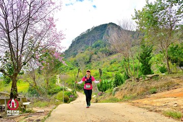 Ảnh sự kiện PRENN TRAIL SUMMIT 2025 - d262443950d72fdcdd8350d2eae352d8.jpg
