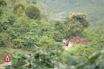 Photo PRENN TRAIL SUMMIT 2025 - d468b8ac7713a95c1aca29e0762989a2.jpg