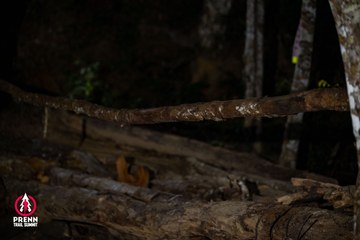 Ảnh sự kiện PRENN TRAIL SUMMIT 2025 - d4ac95b6877bdb5ede993d7b4437d994.jpg