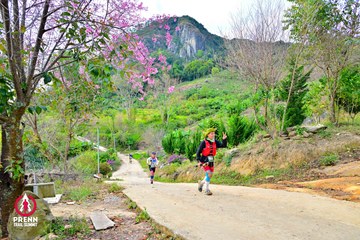 Ảnh sự kiện PRENN TRAIL SUMMIT 2025 - d510e89a5fcf2c87cff3139adfd516df.jpg