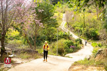 Ảnh sự kiện PRENN TRAIL SUMMIT 2025 - d7b0640d716267a3ee004fe7f18f44af.jpg