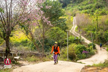 Ảnh sự kiện PRENN TRAIL SUMMIT 2025 - d9672684ee7d4226499bebbd7dfb7360.jpg