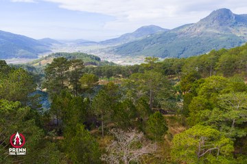 Ảnh sự kiện PRENN TRAIL SUMMIT 2025 - d97942c1814b47e8662400f6ae60d9a5.jpg