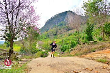 Ảnh sự kiện PRENN TRAIL SUMMIT 2025 - d9b30ccc9d583f3071641665a2859605.jpg