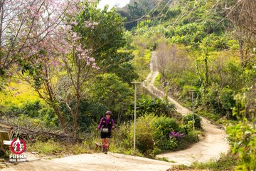 Ảnh sự kiện PRENN TRAIL SUMMIT 2025 - db643567771acd903cb66aa4a1b6b429.jpg