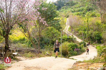 Ảnh sự kiện PRENN TRAIL SUMMIT 2025 - dc8aa378903ceaf40ebb15ad605956cb.jpg