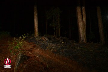 Ảnh sự kiện PRENN TRAIL SUMMIT 2025 - dce4c92fb7e64ec7dbcc3a67934ebfac.jpg