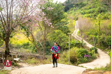 Ảnh sự kiện PRENN TRAIL SUMMIT 2025 - dd8384a7fe0bfb32f1b3568a5fe7092e.jpg
