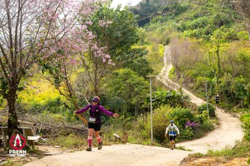 Ảnh sự kiện PRENN TRAIL SUMMIT 2025 - dd99b0ee124bfd8b41af5d4167cdbe7f.jpg