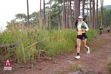 Photo PRENN TRAIL SUMMIT 2025 - e007ae5065a9b11c6c2ee6381715e21b.jpg