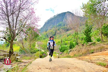 Ảnh sự kiện PRENN TRAIL SUMMIT 2025 - e1e64c4f4b5a370cf7d0a21239c175af.jpg
