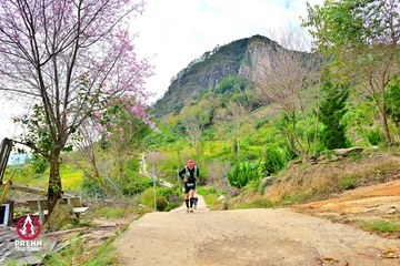 Ảnh sự kiện PRENN TRAIL SUMMIT 2025 - e20db1d53fb31fbb5f84339ec07961bc.jpg
