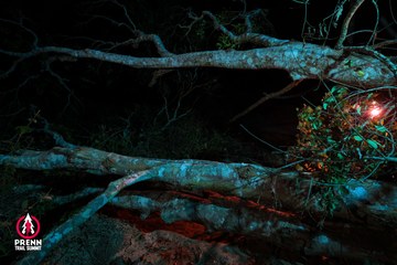 Ảnh sự kiện PRENN TRAIL SUMMIT 2025 - e25547f63a27a70d9e12e5c2fd5c31f5.jpg