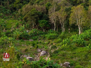 Ảnh sự kiện PRENN TRAIL SUMMIT 2025 - e367c6e6efda6516994955e7e970f6d5.jpg