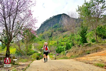 Ảnh sự kiện PRENN TRAIL SUMMIT 2025 - e43f3a37d5f63ede199787e8000b8444.jpg