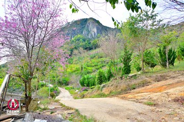 Ảnh sự kiện PRENN TRAIL SUMMIT 2025 - e4b9651a529a2c009cea998c7963e47c.jpg