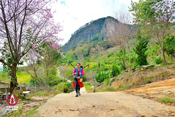 Ảnh sự kiện PRENN TRAIL SUMMIT 2025 - e4d0e7d9605cfefc3fdf0621be5b8111.jpg