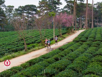 Ảnh sự kiện PRENN TRAIL SUMMIT 2025 - e65f3e7e298584effe4b2d2dded62e68.jpg