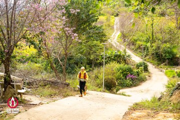 Ảnh sự kiện PRENN TRAIL SUMMIT 2025 - e8d0f3844d996ae9be70ab18461d1325.jpg